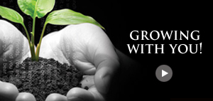 Grow with us