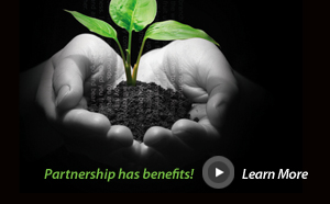 Grow with us