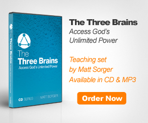 The THree Brains Set